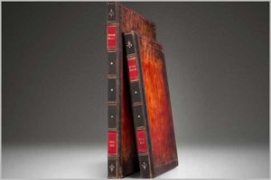 iPad Air/Air 2/Pro 9.7" Etui/Case/Hülle